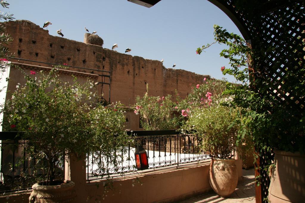 Riad Carina Marrakesh Eksteriør billede